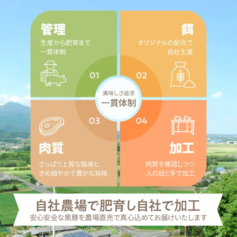 鹿児島県産 黒豚ロース とんかつ 8枚 セット KN054-019 肉 豚肉