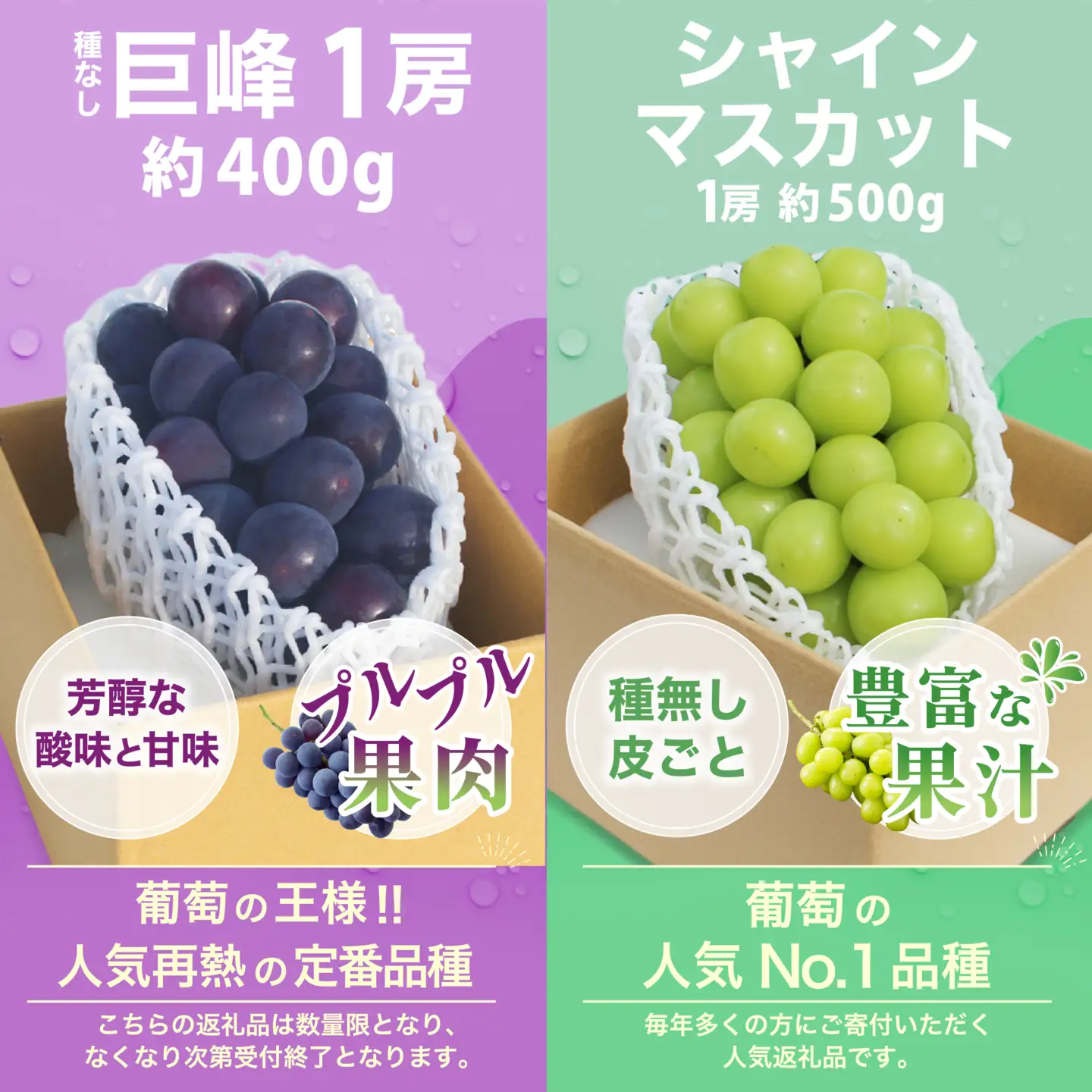 【2026年発送 先行予約】3回定期便 旬のフルーツ定期便（桃1㎏・種無し黒葡萄1房・シャインマスカット1房）180-023-26y