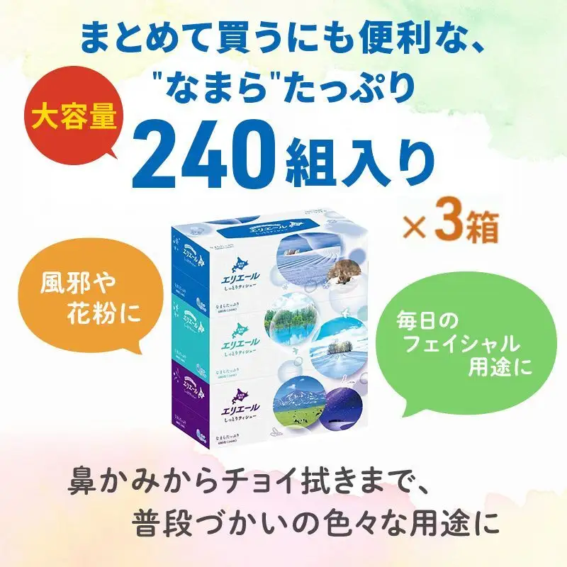 定期便 2ヵ月連続お届け エリエール ハーフサイズ 収納に便利 コンパクト 【少量5パック】 北海道 しっとりティシュー なまらたっぷり 240組3箱 5パック 計15箱 ボックスティシュー ふるさと納税限定デザイン