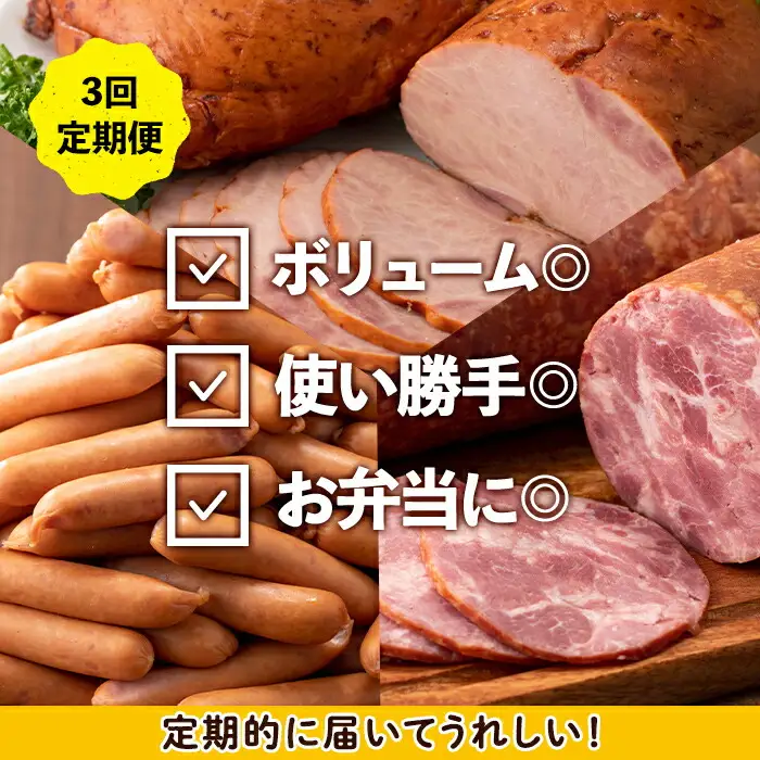 ＜定期便・計3回(隔月)＞ナンチク 加工品 セット ( Newポークウインナー / 焼き豚 / サラダハム ) 【ナンチク】i1205-B