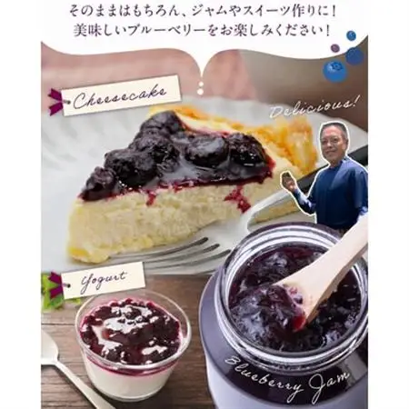 冷凍ブルーベリー 1kg【配送不可地域：離島】【1689025】