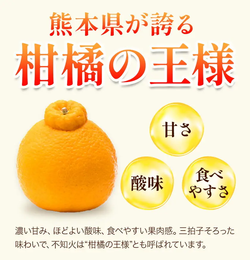 不知火 熊本 訳あり 3.5kg 不知火