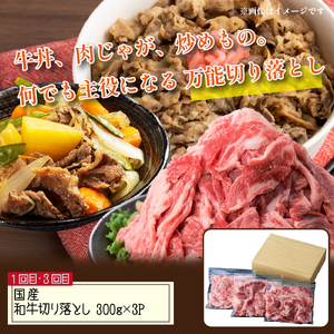 【定期便 全3回】牛肉満喫定期便（牛肉 黒毛和牛 ステーキ 切り落とし サーロイン 定期便 小分け）