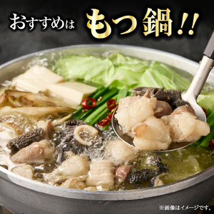 ホルモン 宮崎県産 ミックスホルモン 500g×2P 計1kg ホルモン  