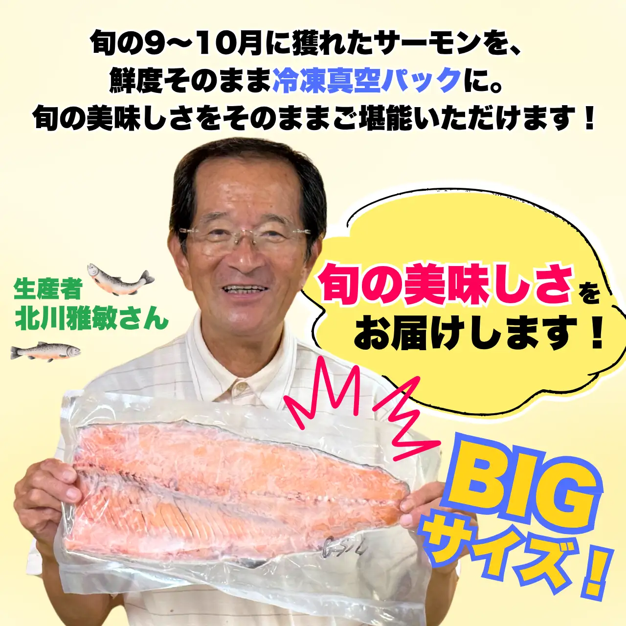 サーモン 半身 600～799g 冷凍 2枚 [B-050004]