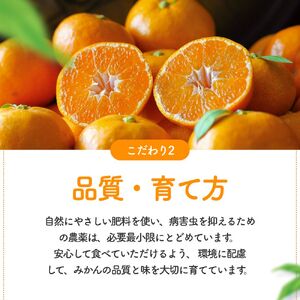 早生 有田みかん10kg (大玉）2L～ ※2026年11月～2027年1月中旬順に順次発送予定 【tkn004-wr-l-10-12A】