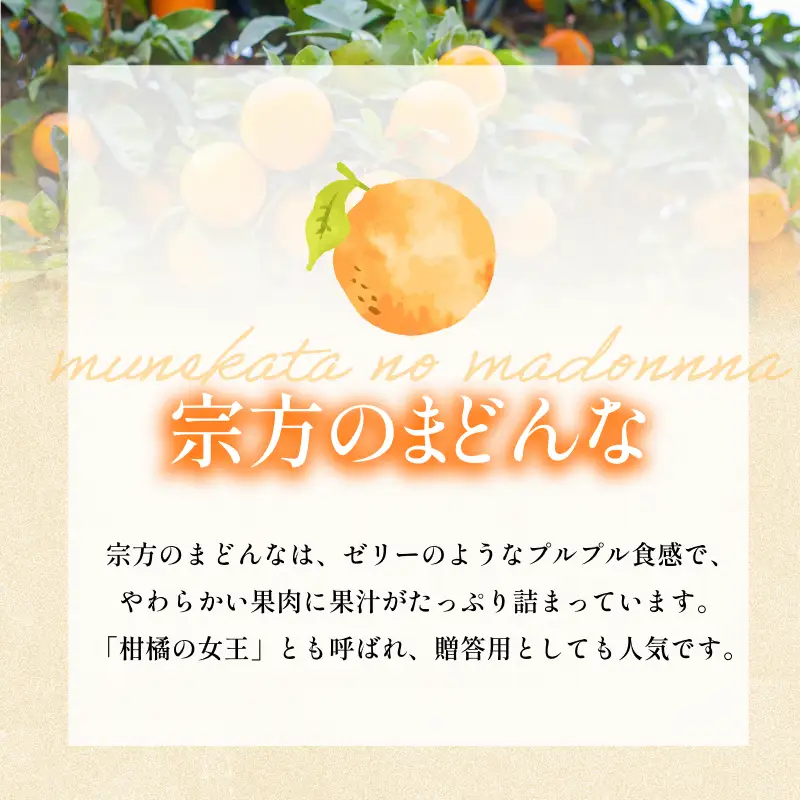 【先行予約】宗方のまどんな（家庭用）約1.5kg