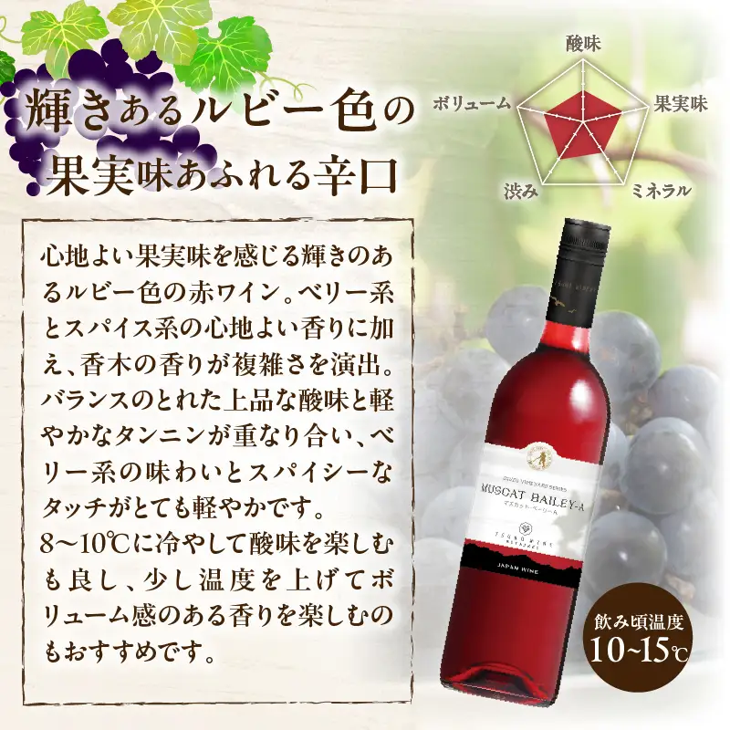 【数量限定】マスカット・ベーリーA 2本セット ワイン 酒 飲料 アルコール 国産_T014-0545