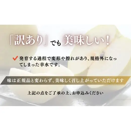《訳あり》幸水　5kg（茨城県共通返礼品・かすみがうら市産） ／ 幸水 梨 なし ナシ 果物 くだもの フルーツ 訳あり 訳アリ 規格外 家庭用 5kg 産地直送 産直 茨城県 利根町