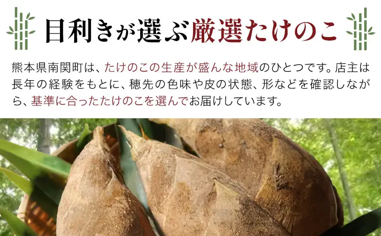 【先行受付】【2回定期便】特選 生たけのこ 食べ比べ 2kg×2回 《3月中旬-4月中旬頃出荷》 熊本県 南関町産 春 筍