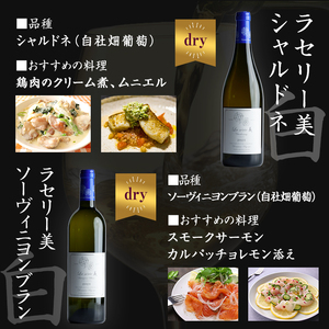 自社葡萄を使用したワインセット 750ml×5本 赤ワイン 白ワイン メルロー ピノノワール シャルドネ ソーヴィニヨンブラン モンドブリエ ミディアムボディ 辛口 ぶどう ブドウ アルコール みらいファームやまと 【了美ワイナリー】ta594