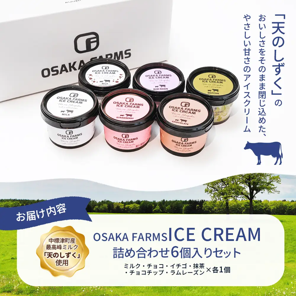 OSAKA FARMS ICE CREAM 詰め合わせ6個入りセット（ミルク・チョコ・イチゴ・抹茶・チョコチップ・ラムレーズン）各1個【5101301】