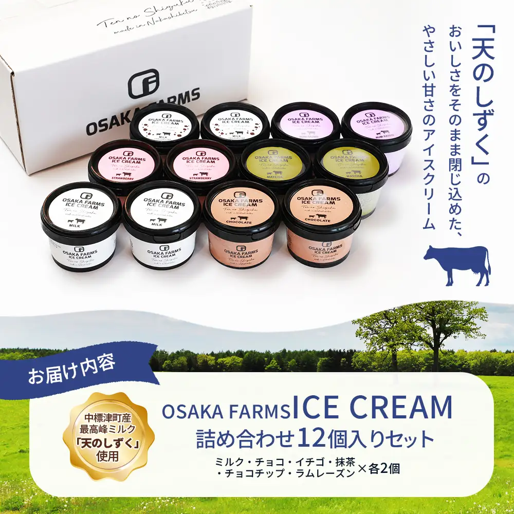 OSAKA FARMS ICE CREAM 詰め合わせ12個入りセット（ミルク・チョコ・イチゴ・抹茶・チョコチップ・ラムレーズン）6種×各2個【51014】
