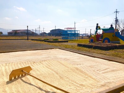 廃食油リサイクル粉せっけん 愛しゃぼん 1200g×3袋 ＮＰＯ法人 愛のまちエコ倶楽部 滋賀県 東近江市 A-C16 リサイクルせっけん 粉せっけん 廃油 再生 洗濯 洗剤 石鹸 びわ湖 環境 エコ 掃除 食器洗い