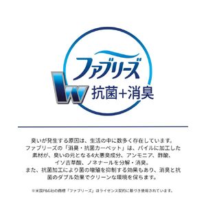 S109(200×200cm/ブラック)4色から選べるファブリーズの消臭・抗菌ラグ 2サイズ展開