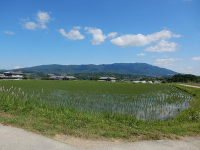 「ゆめ野山米」食べ比べセット 精米 10kg （ あきたこまち ヒノヒカリ 各5kg）【令和7年産】 | コメ 米 こめ 精米 あきたこまち ヒノヒカリ もちもち 奈良県  五條市