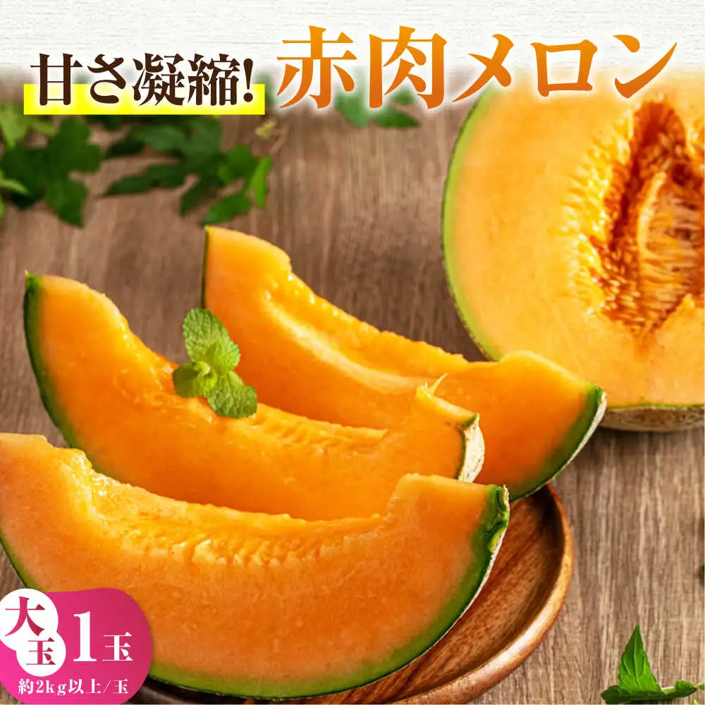  赤肉メロン 大玉1玉 [AJAH028] メロン