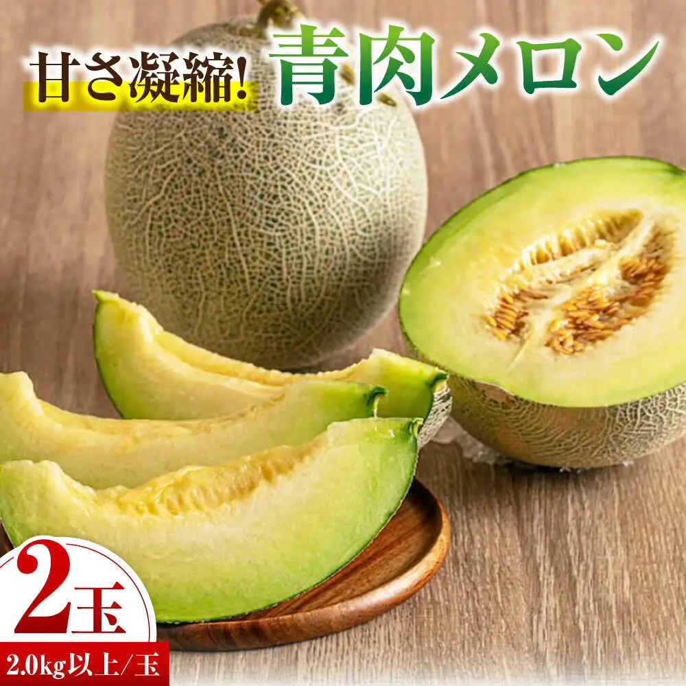 青肉メロン 大玉2玉 [AJAH030] メロン