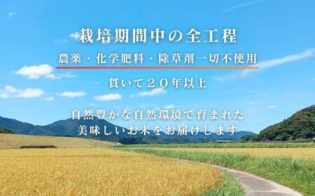 【令和7年産】四万十市産 コシヒカリ 玄米 20kg 栽培期間中農薬・ 化学肥料・除草剤不使用 国産 こしひかり 2025年産 米 こめ コメ ご飯 高知 四万十 しまんと 農家直送 蕨岡の百姓 福留壯 オーガニック 25-0017