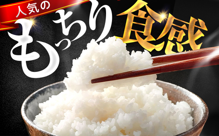 お米 コシヒカリ 精米 10kg 小浜市産 こしひかり  白米 ごはん こめ [BFEK001]