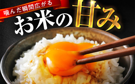 【4回定期便】お米 小浜市産コシヒカリ お米 10kg 小浜市 梅田東米穀店[BFEK016]