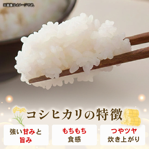 【使用しない】令和7年度 南国市産 コシヒカリ 白米 5㎏ | 数量限定 米 コメ お米 ご飯 おにぎり こめ 弁当 高知県 南国市 AH007