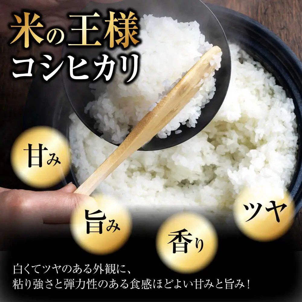 【全2回定期便】こしひかり 5kg 【令和7年産米】 [APDC003] コシヒカリ