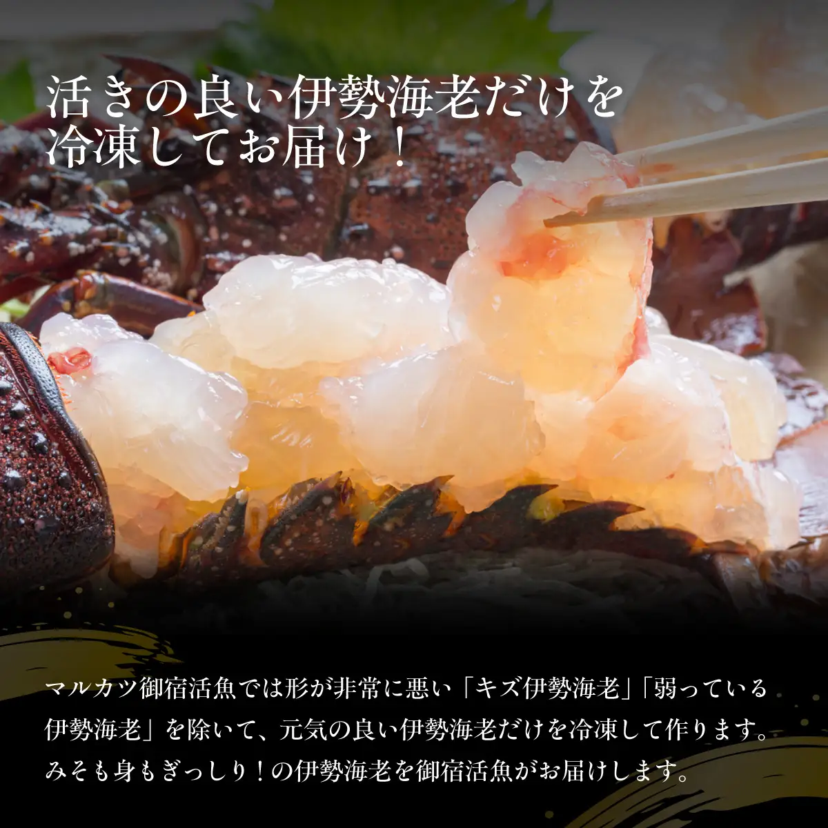 活〆生食用伊勢海老（冷凍）430g（200～230g）×2匹  ONJB033