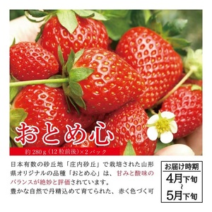 SE0506　【4回定期便】自然の恵み　季節のフルーツ定期便2026(3) (いちご、小玉スイカ、彩りメロン、庄内柿)