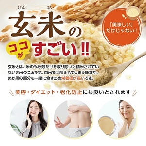 SA2801　ミルキークイーンの 玄米おかゆ(7分がゆ)　12パック AG