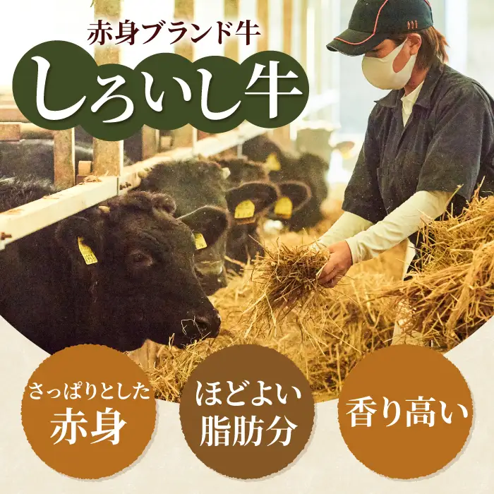 【6回定期便】牛肉1頭まるごと定期便 / 牛肉定期便 IAH032