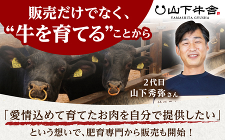 【全3回定期便】佐賀牛 ヒレステーキ 300g （100g×3枚） 【山下牛舎】黒毛和牛 フィレ ヒレ肉[HAD174]