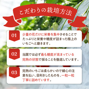 ★先行予約★贈答用いちご 3品種食べ比べセット(3パック入)[1月中旬より順次発送]【097007C000】