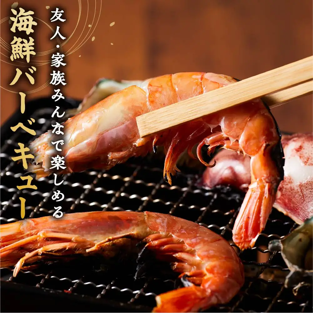 ＜数量限定＞海鮮BBQセット4種(2～3人前)【鳥取県 境港市】