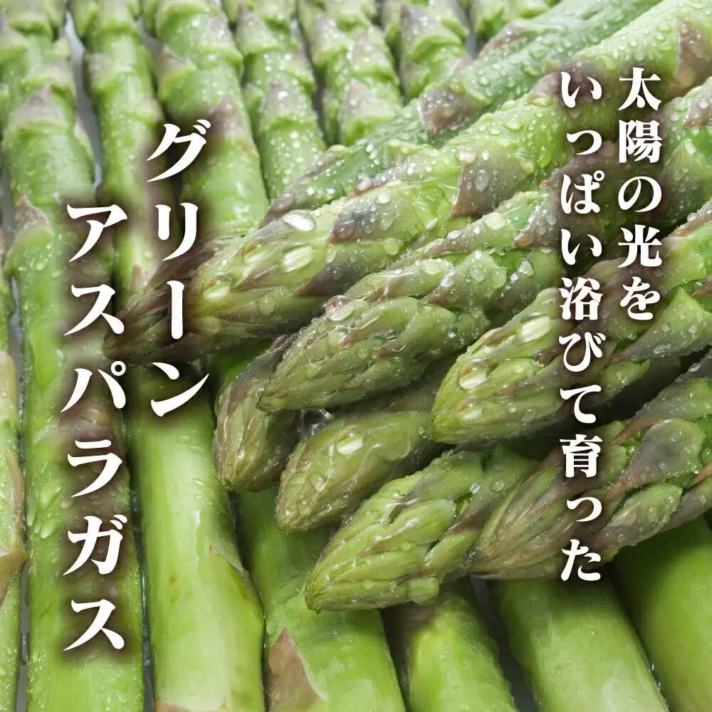 春収穫グリーンアスパラLサイズ　約500g（2027年6月上旬から発送開始）| アスパラ 北海道_05529