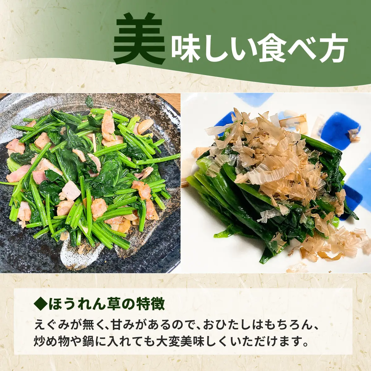ほうれん草！どっさり 5kg 【栽培30年以上の山下さんの新鮮採れたてほうれん草】　SMCX001 