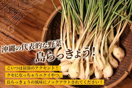 MOSESU CURRYの島カレーシリーズ　島らっきょうとひき肉のカレー 250g×3食（FP004）