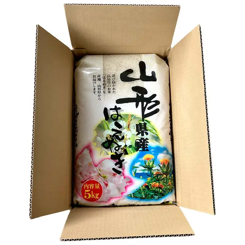 ≪新米先行予約≫【定期便6回】令和8年度 山形県産 はえぬき 5kg×6回 合計30kg 精米 お米 米 ご飯 ごはん 白米 新米 ブランド米 銘柄米 国産 単一原料米 単一米 コスパ 5キロ 贈答 贈り物 ギフト プレゼント 自宅 家庭 山形県 戸沢村 F7W-0364