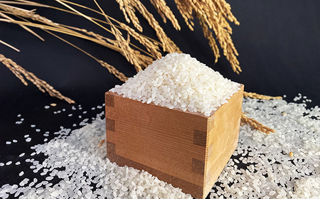 【令和7年産米】幻のお米 日本一美味 と言われた 白目米 5kg - お米 白米 精米 御納米 ごはん