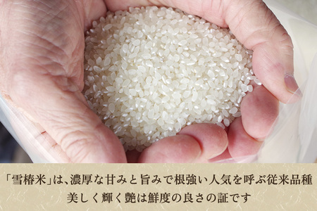 【令和7年産】新潟産コシヒカリ「雪椿米」特別栽培米 精米20kg（5kg×4袋）