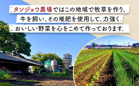 野菜セット 旬の野菜 ブルーベリー酢付 詰め合わせ 野菜セット【6品】