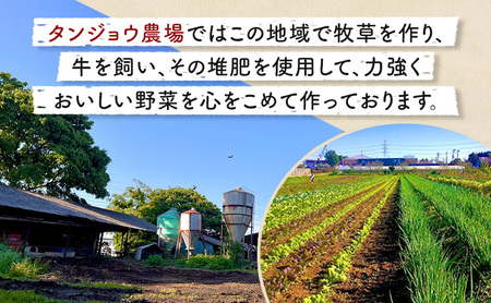 野菜セット 旬の野菜 落花生 詰め合わせ 野菜セット【6品】