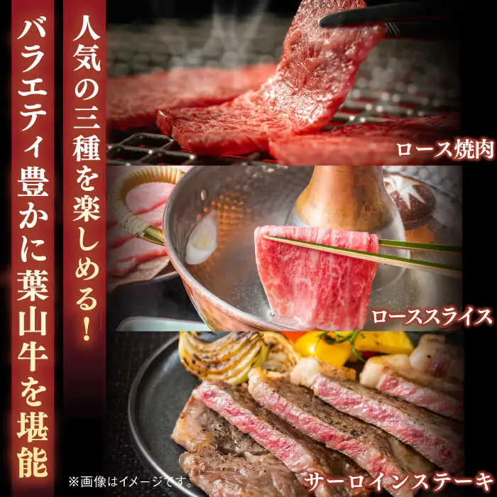 葉山牛 少量3種食べ比べセット(ロース・ローススライス・サーロインステーキ)[ASBD019]