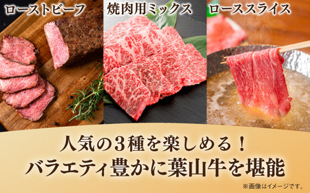 【全6回定期便】葉山牛 食べ比べ定期便(ローストビーフ・焼肉用ミックス・ローススライス)／牛肉 肉 焼肉 神奈川県 葉山町【葉山牛ステーキレストラン 角車】[ASBD022]