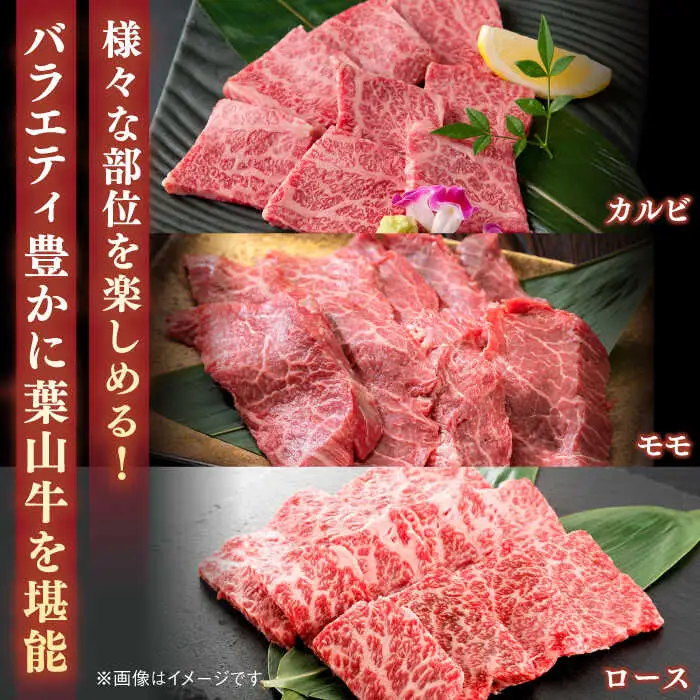 【全3回定期便】葉山牛1kg　焼肉用ミックス 牛肉（ロース、モモ、カルビ等 4種類 ) 食べ比べ[ASBD034]