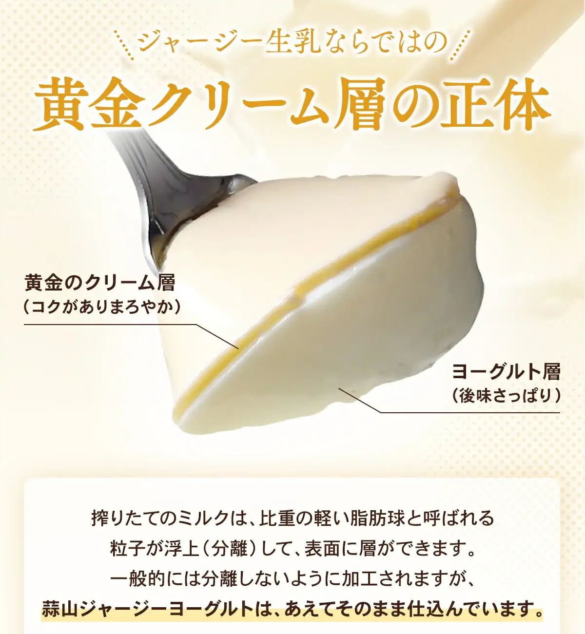 ヨーグルト 蒜山ジャージーヨーグルト10個 スイーツ 【hiru024-01】