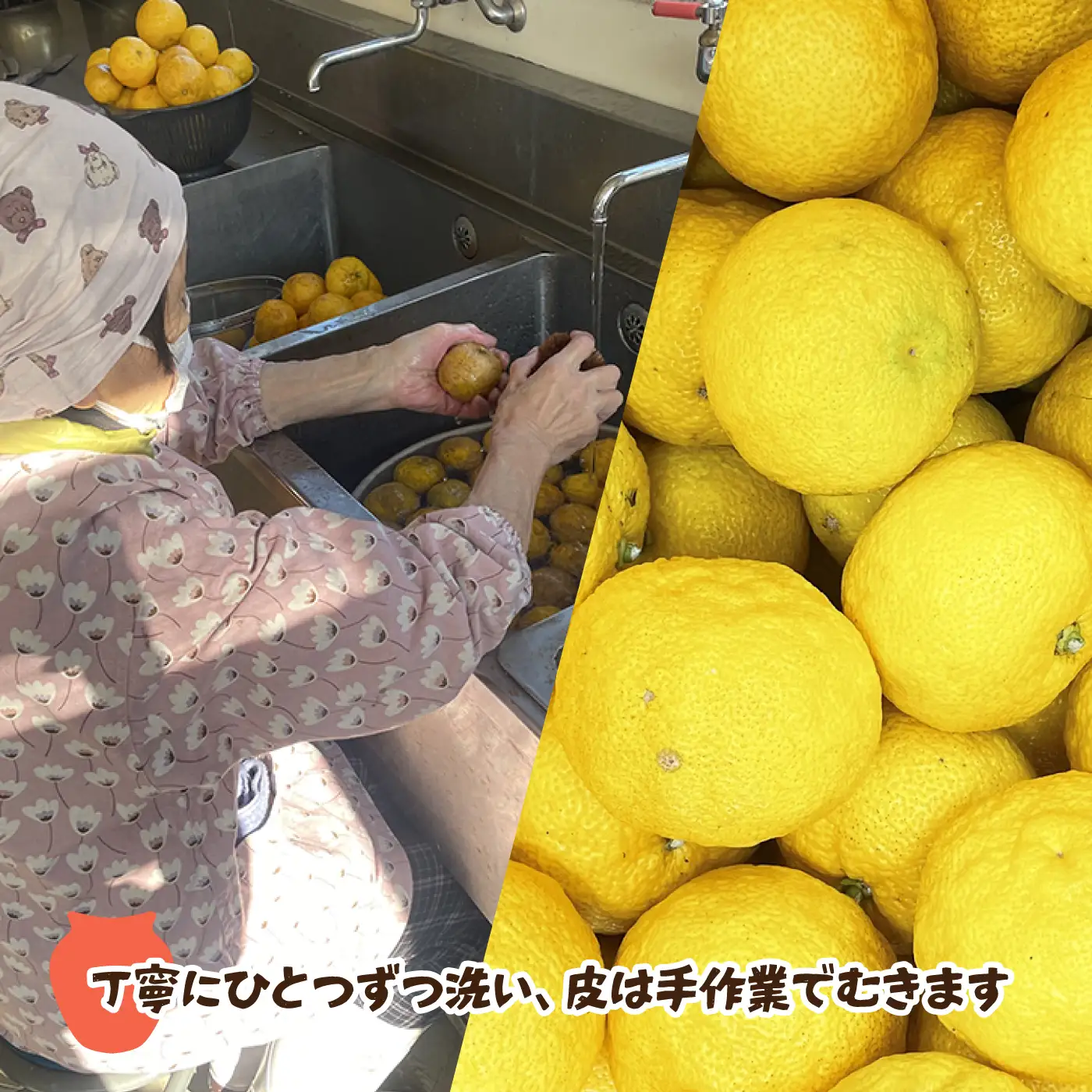【二荊条唐辛子使用】柚子胡椒 40ｇ×2個（青-1個・赤-1個）・一味唐辛子 16ｇ✕2個「はすみSTOCK（すとっく）」