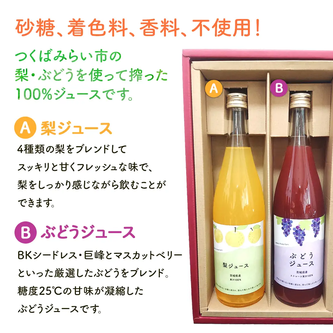 地元農家が作る つくばみらい市産 梨 を使った 梨ジュース・ぶどうジュース 720ml 2本セット