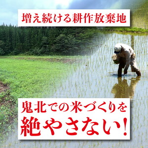 【2ヵ月定期便】【令和8年産新米】コシヒカリ 計10㎏（5kg×2回） ｜ ご飯 白米 お米 5kg 10kg 精米済み 先行予約 ※2026年10月下旬～12月下旬頃に順次発送予定 ※離島への配送不可