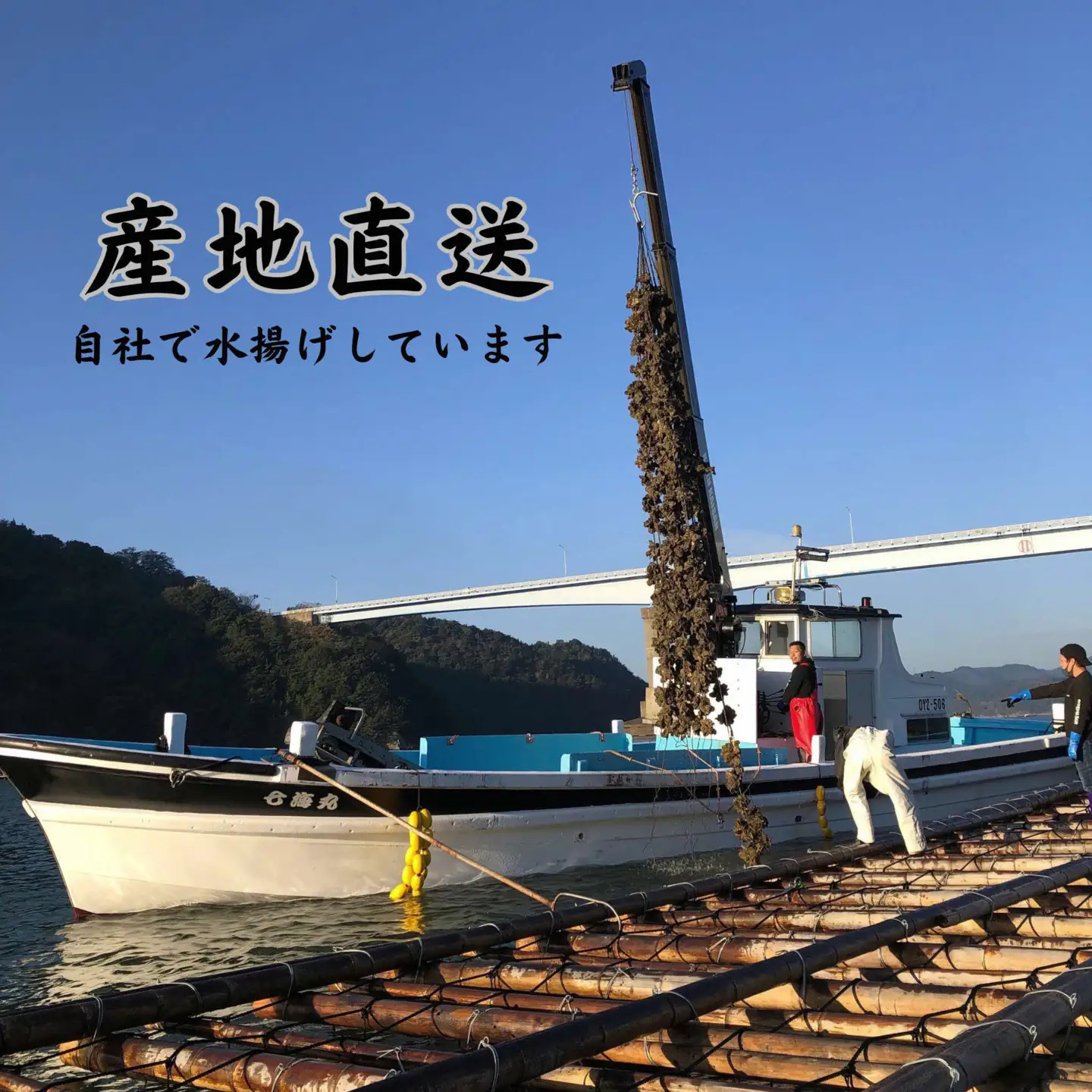 【ふるなび限定】【2027年発送】殻付き牡蠣・むき身セット 合計3.5kg【牡蠣】